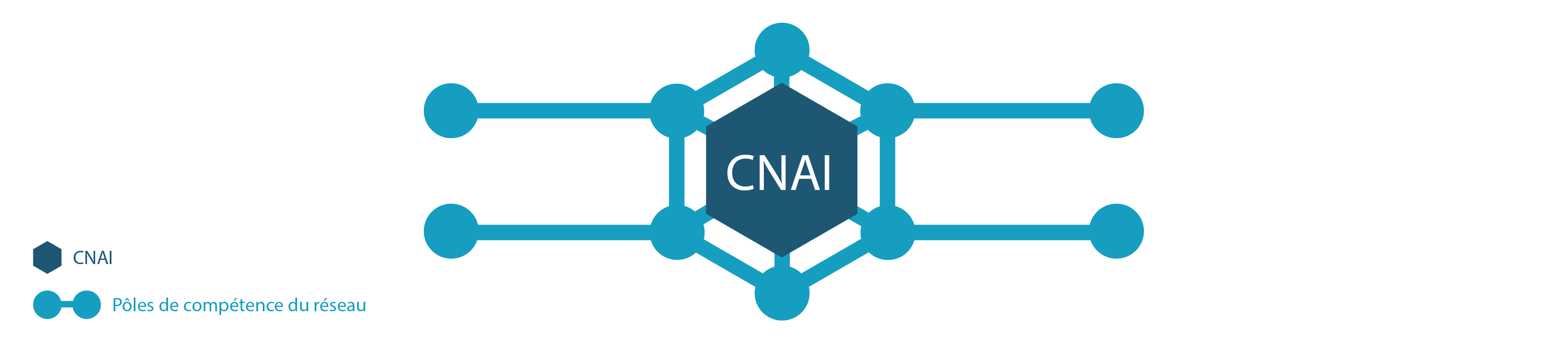 Illustration du réseau. CNAI au centre, nœuds de réseau tout autour